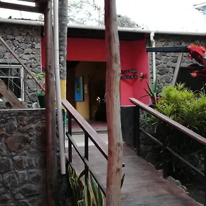Albergue Galapagos Morning Glory, Puerto Ayora (Galapagos Islands)